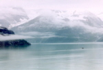 Glacier Bay 4