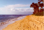 Hawaii Footprints